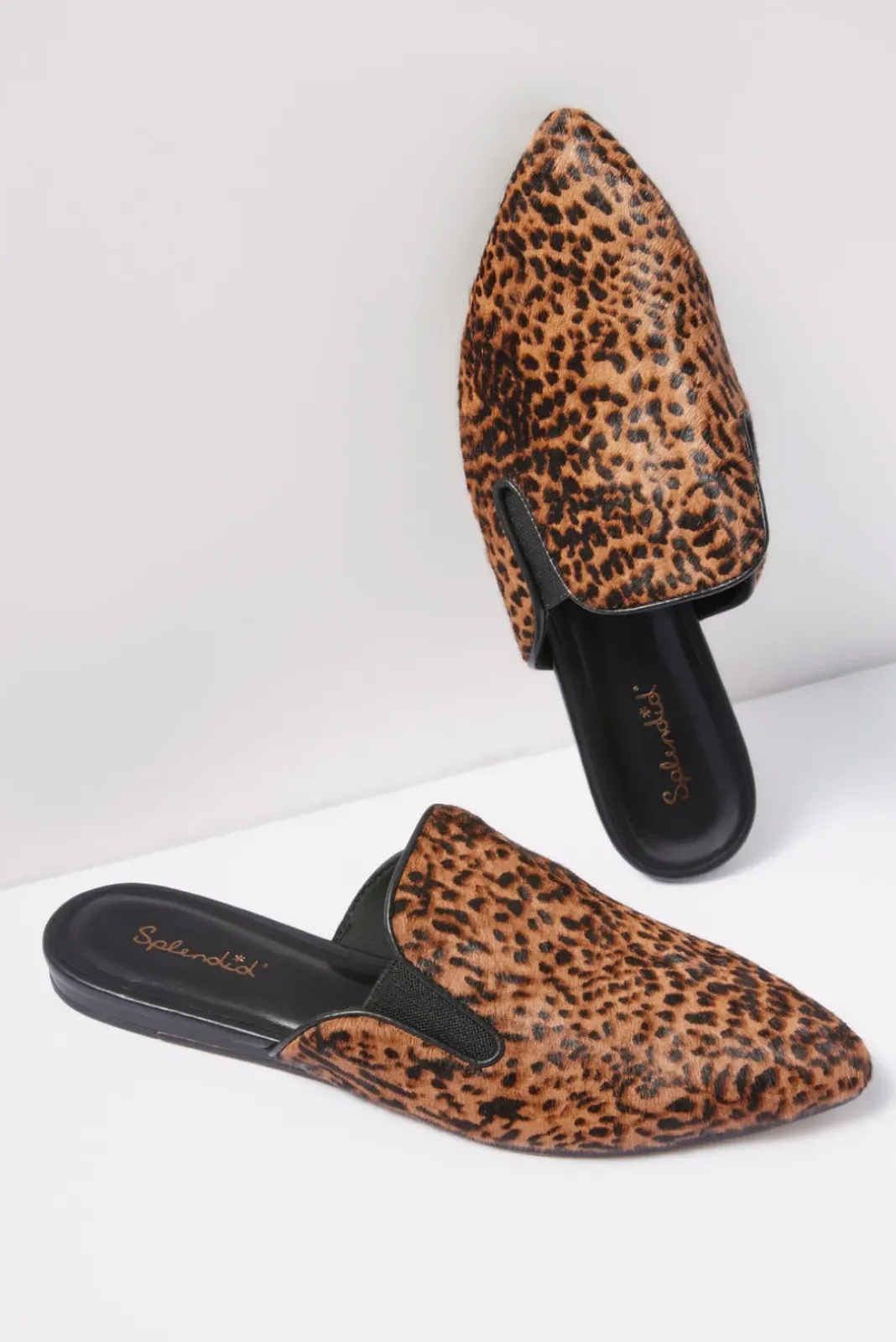 Shoes<SPLENDID FOOTWEAR Liza Slide Cheetah
